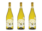 2021/2022 Pecorino Terre di Chieti · Vola Volé